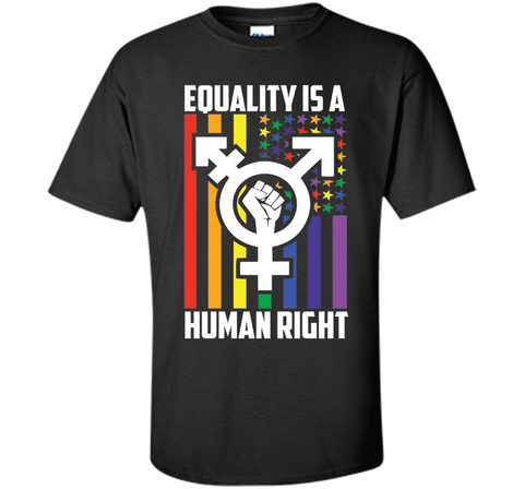 LGBT Pride Shirts Equality is a Human Right gift T-Shirt t-shirt