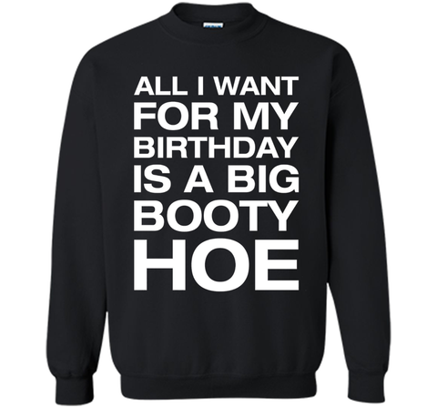 All I Want For My Birthday Is A Big Booty Hoe Funny Shirt