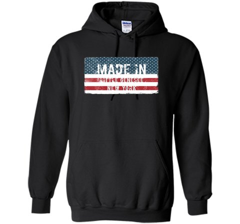 Made in Little Genesee, New York T-shirt