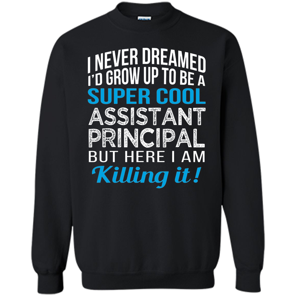 Super Cool Assistant Principal Funny Gift T Shirt