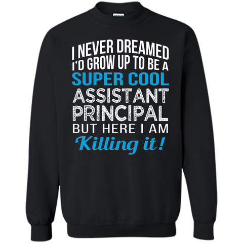 Super Cool Assistant Principal Funny Gift T Shirt