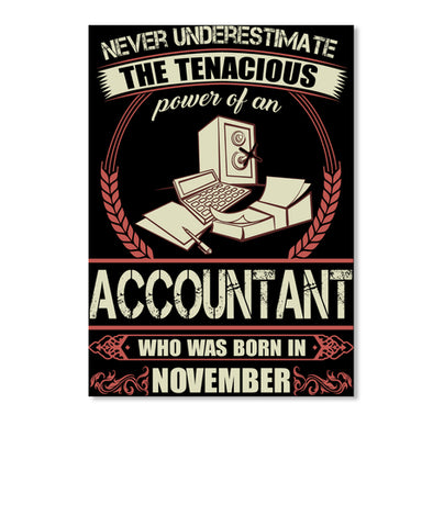 Accountant Born in November T Shirts