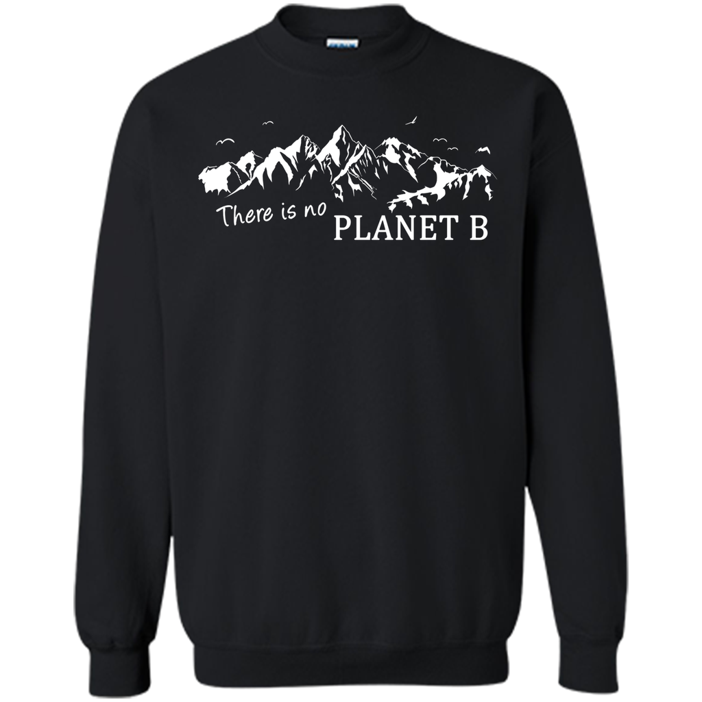 There is no planet B