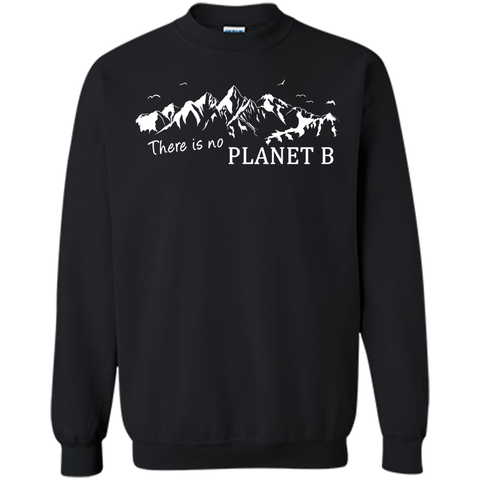 There is no planet B