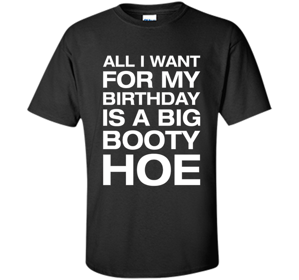 All I Want For My Birthday Is A Big Booty Hoe Funny Shirt