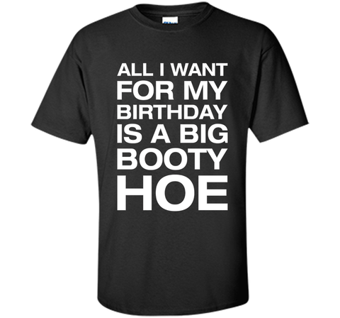 All I Want For My Birthday Is A Big Booty Hoe Funny Shirt