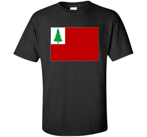 Flag of New England Revolutionary War USA T-Shirt