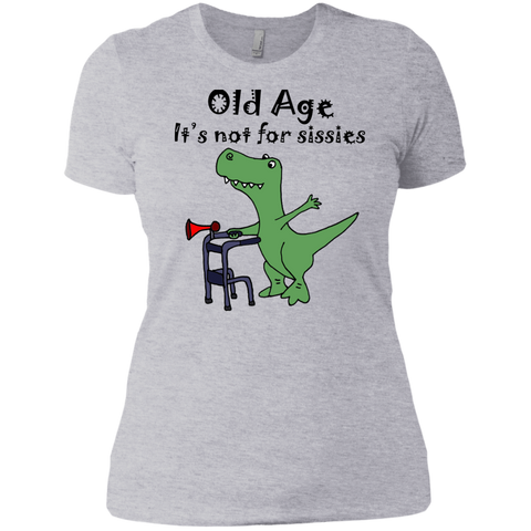 funny cool t-rex dinosaur using walker old age art T-Shirt