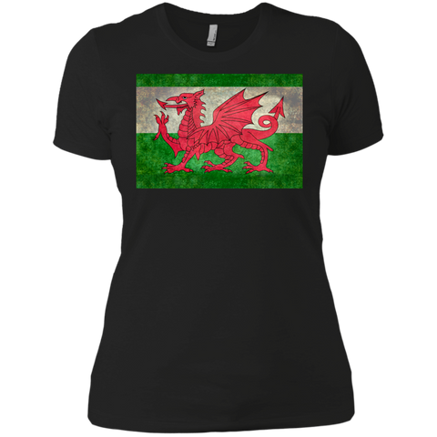 distressed wales flag T-Shirt