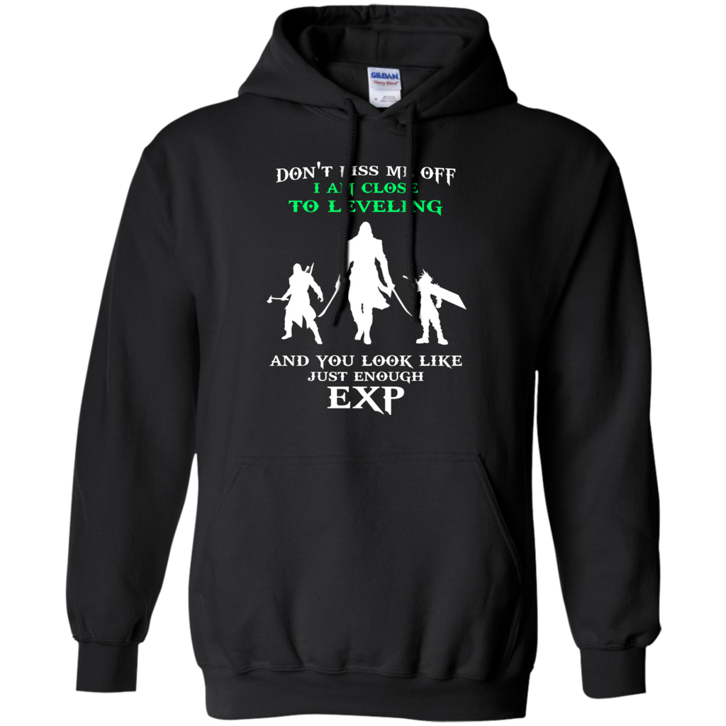 don't piss me off i am close to leveling and you look like just enough exp T-Shirt