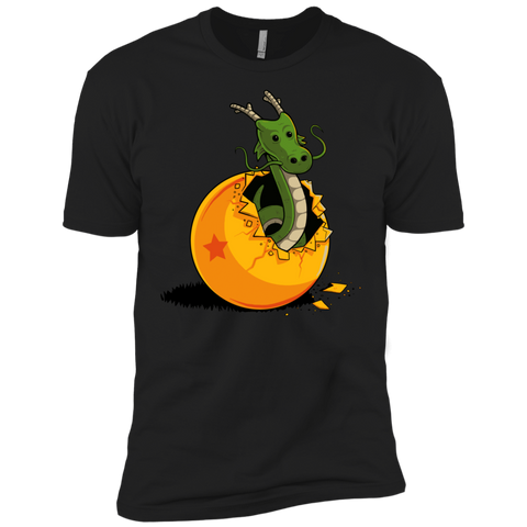 dragon egg 25 T-Shirt