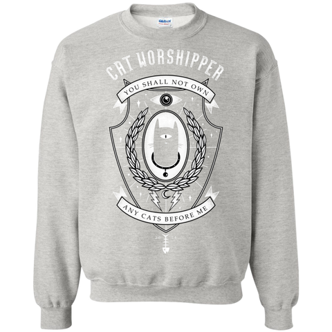 cat worshipper sweatshirt T-Shirt