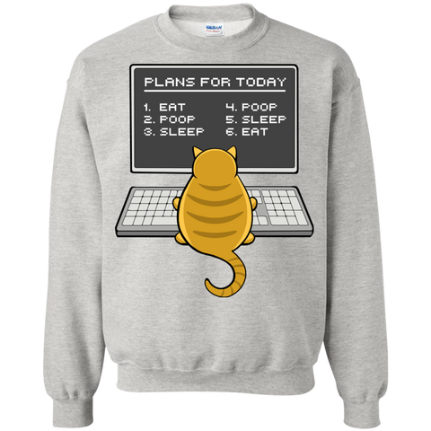 cat plans sweatshirt T-Shirt