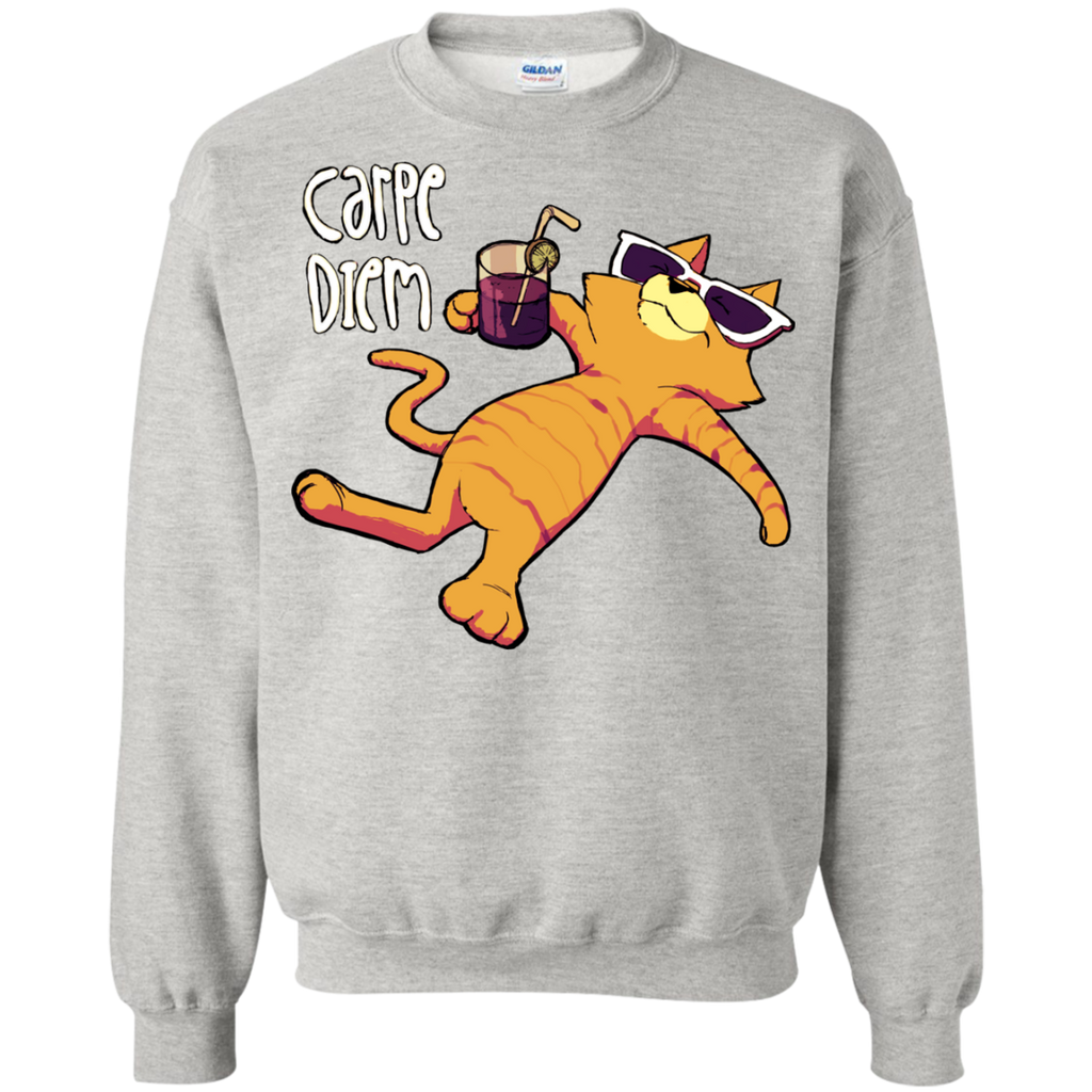 carpe diem cat style sweatshirt T-Shirt