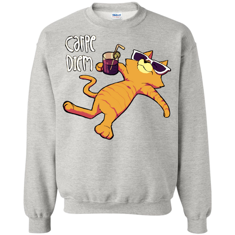 carpe diem cat style sweatshirt T-Shirt