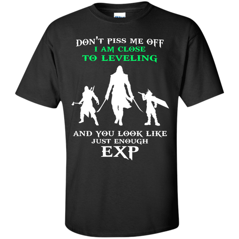 don't piss me off i am close to leveling and you look like just enough exp T-Shirt