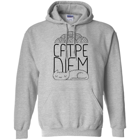 catpe diem sweatshirt T-Shirt