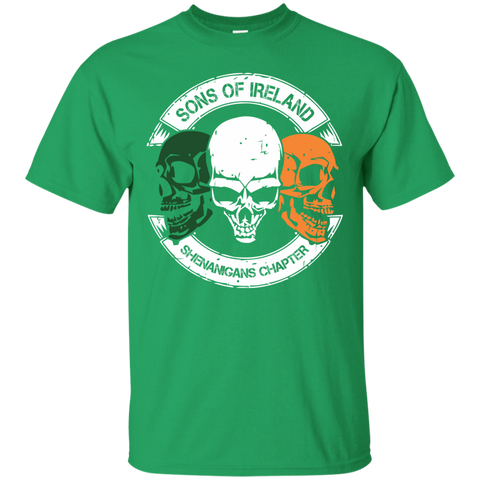 irish saint patrick's day T-Shirt