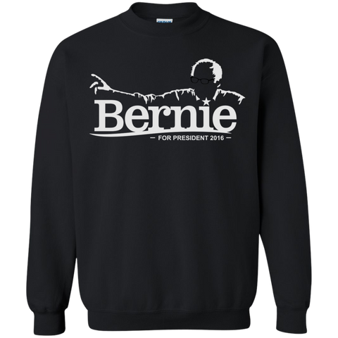 bernie for president 2016 T-Shirt