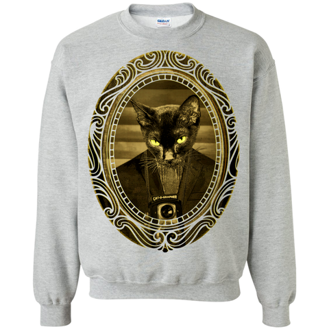 cat - o - grapher sweatshirt T-Shirt