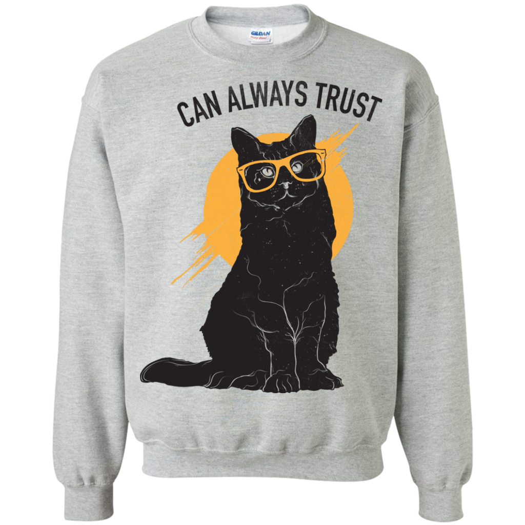 can always trust sweatshirt T-Shirt