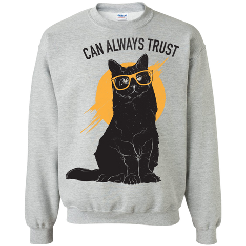 can always trust sweatshirt T-Shirt