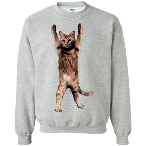 cat meaw sweatshirt T-Shirt