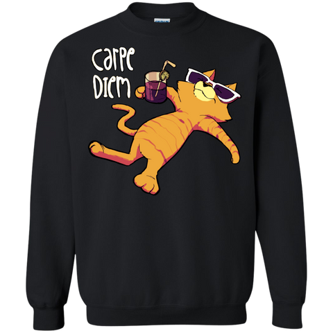 carpe diem cat style T-Shirt