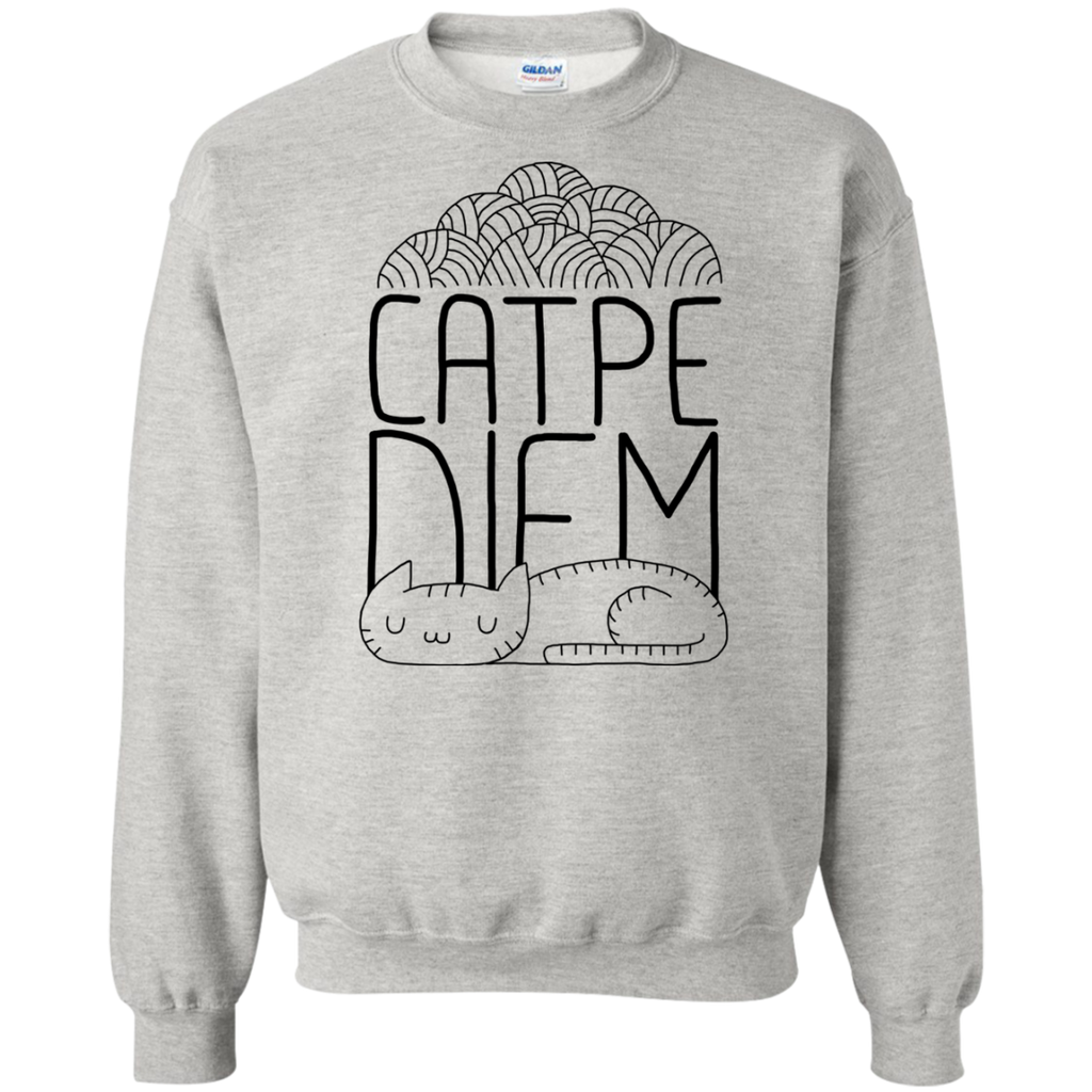 catpe diem sweatshirt T-Shirt