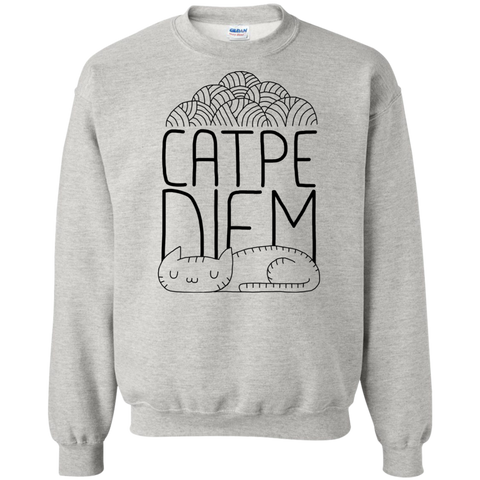 catpe diem sweatshirt T-Shirt