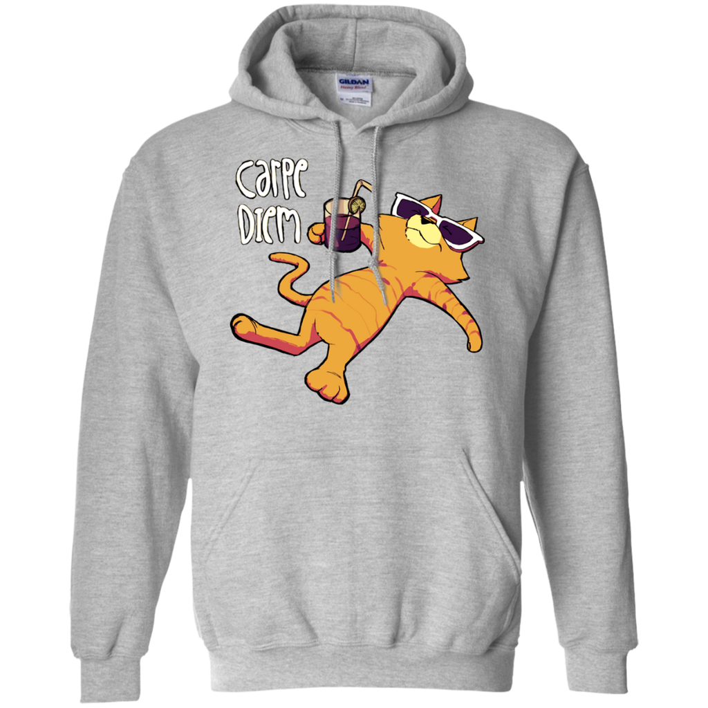 carpe diem cat style sweatshirt T-Shirt