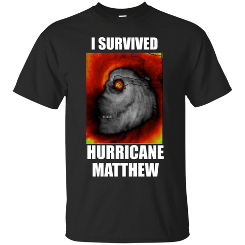 i survived hurricane matthew T-Shirt