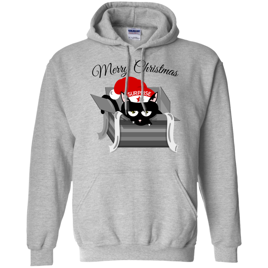 cat in a christmas box  funny T-Shirt