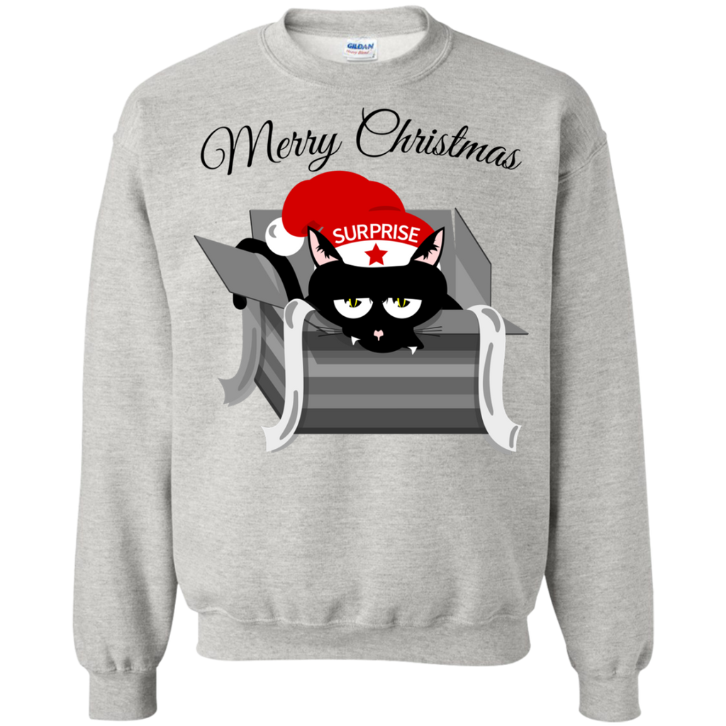 cat in a christmas box  funny T-Shirt