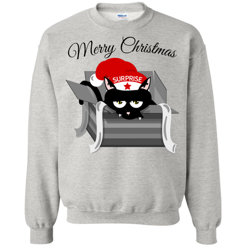 cat in a christmas box  funny T-Shirt