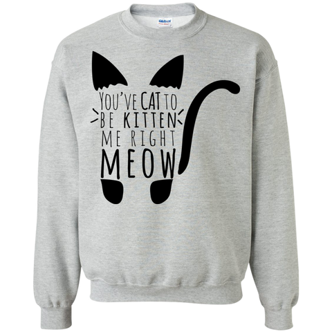 cat to be kitten me right meow text cat sweatshirt T-Shirt