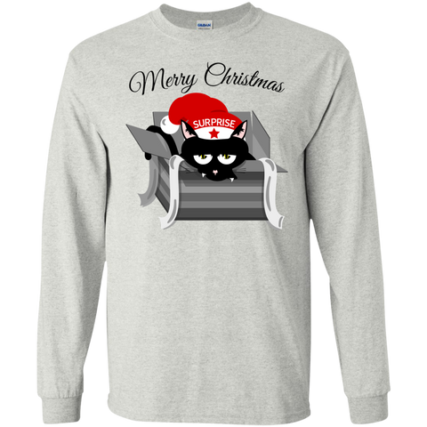 cat in a christmas box  funny T-Shirt
