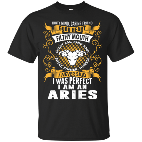 i was perfect i am an aries T-Shirt