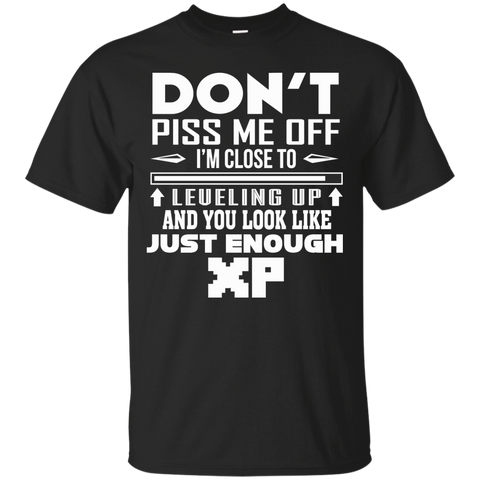 don't piss me off i'm close to leveling up and you look like just enough xp T-Shirt