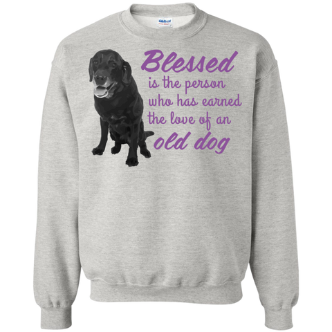 blessed is the person, who has earned the love of an old dog  T-Shirt