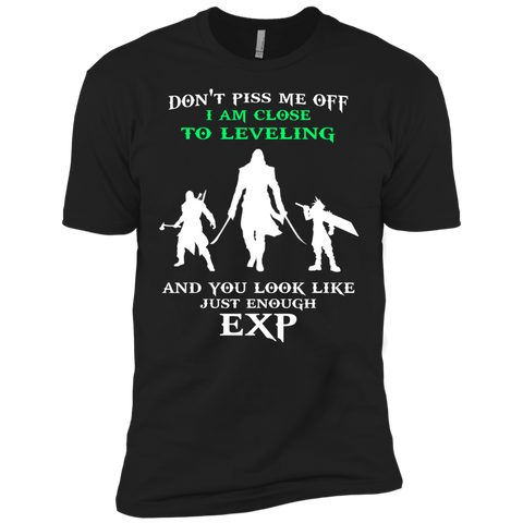don't piss me off i am close to leveling and you look like just enough exp T-Shirt