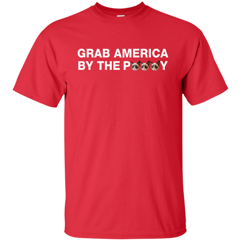 funny grab america by the pussy T-Shirt