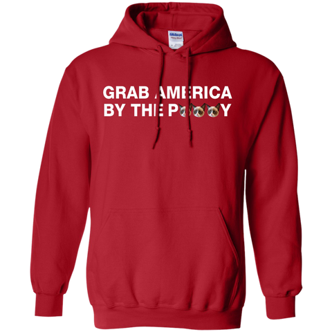 funny grab america by the pussy T-Shirt
