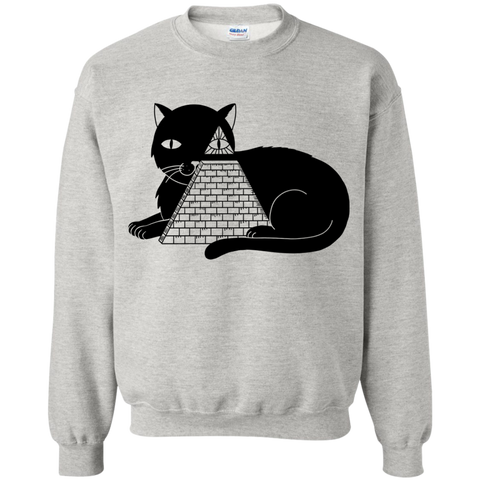 cat illuminati sweatshirt T-Shirt