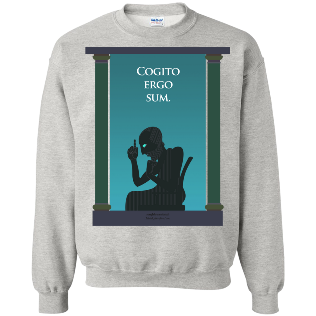 cogito ergo sum sweatshirt T-Shirt