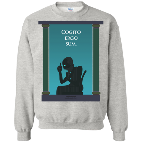 cogito ergo sum sweatshirt T-Shirt