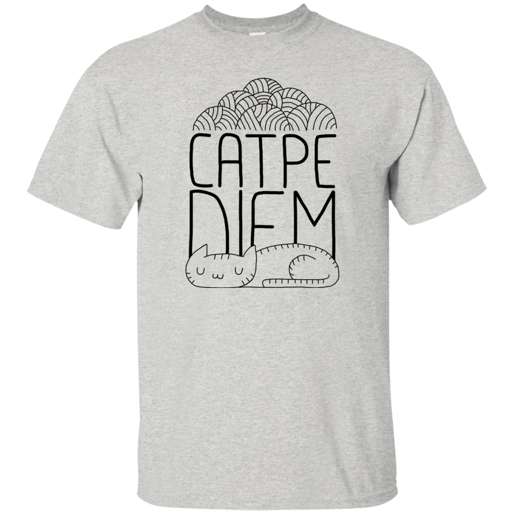 catpe diem sweatshirt T-Shirt