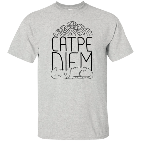 catpe diem sweatshirt T-Shirt