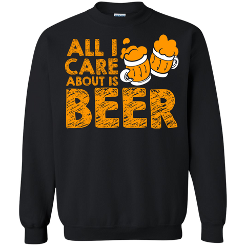 all i care about is beer T-Shirt