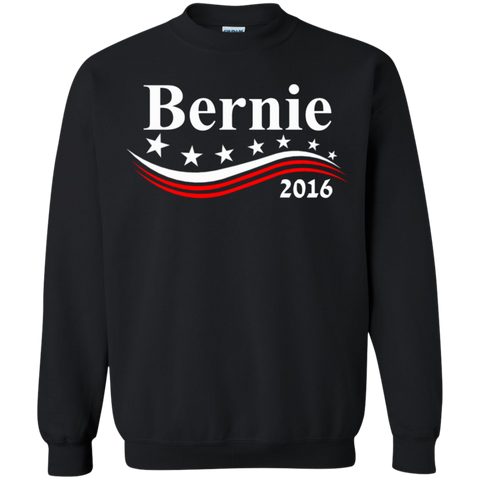bernie 2016 T-Shirt